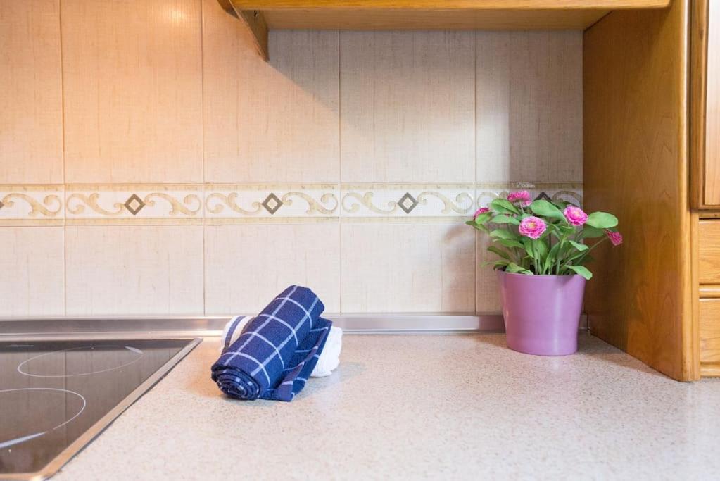 Appartement Bright, Quiet And Ground Floor In The Center